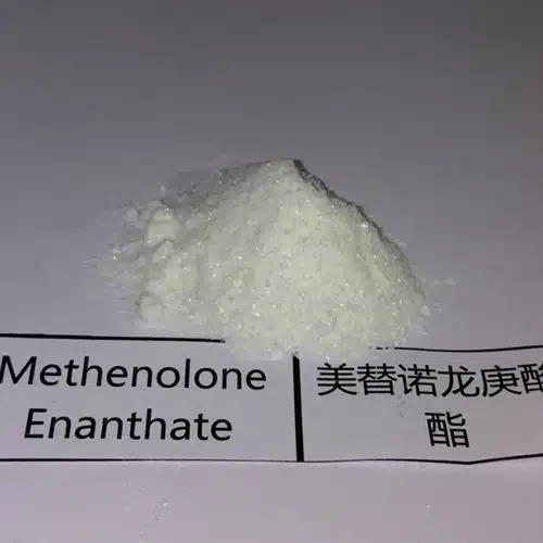 Buy-Methenolone-Enanthate-Powder.webp