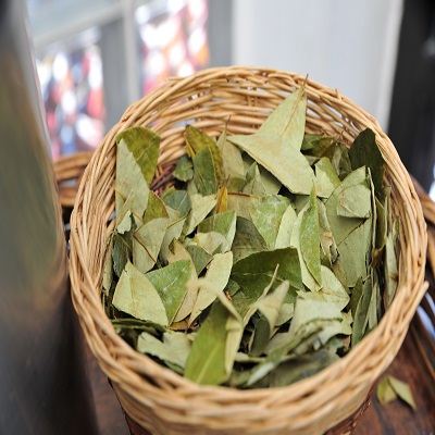 Coca-leaves-For-Sale.jpg